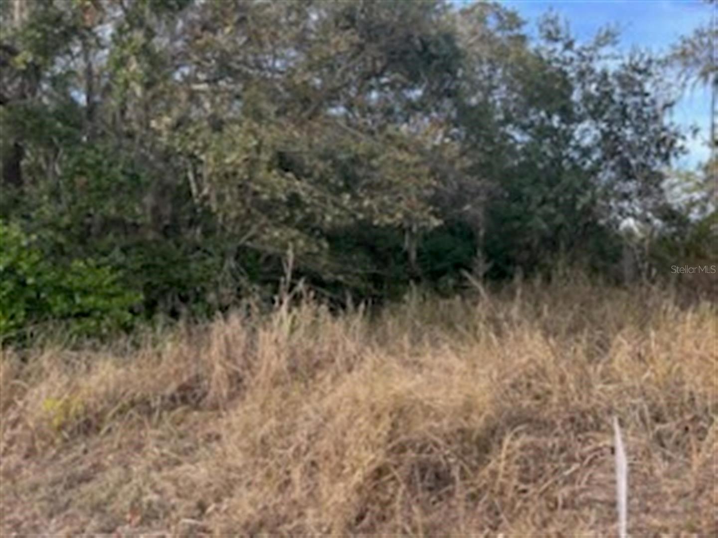 Image 4 Image 4