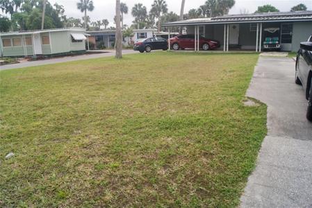 50 LIVE OAK DRIVE