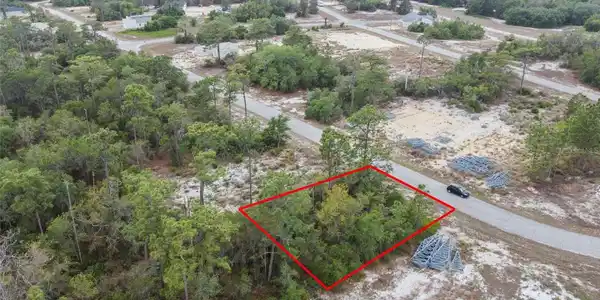 1315 HOMOSASSA COURT