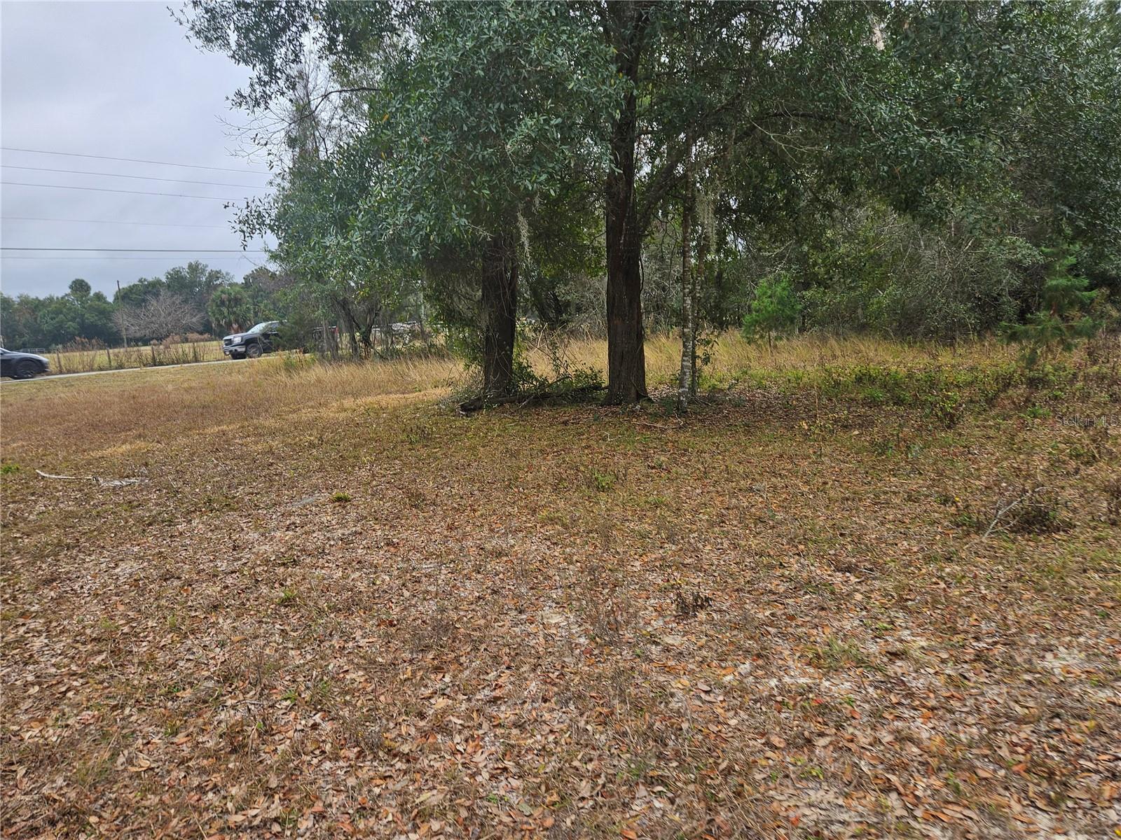 Image 1 Image 1