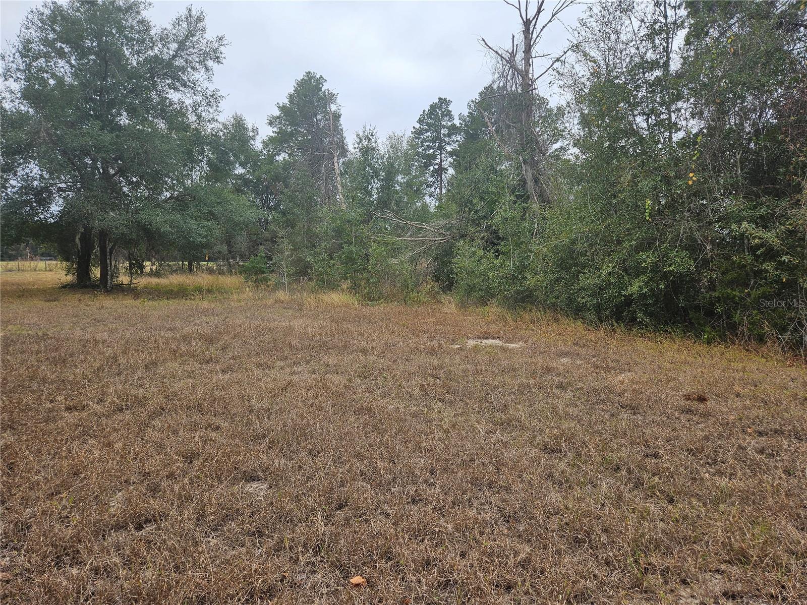 Image 3 Image 3