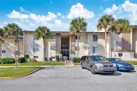 568 ORANGE DRIVE