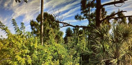 11329 ROCKWELL AVENUE