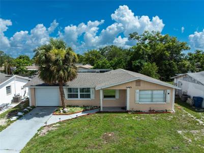 3402 SEFFNER DRIVE