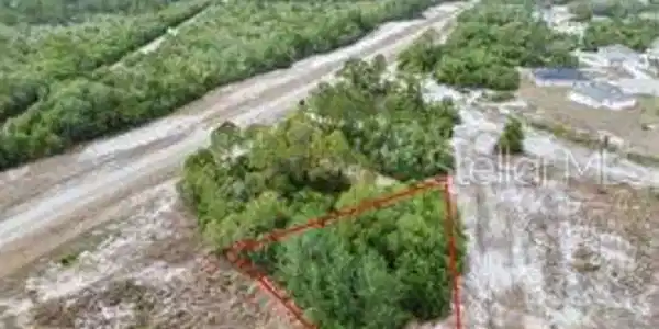 Image 4 Image 4