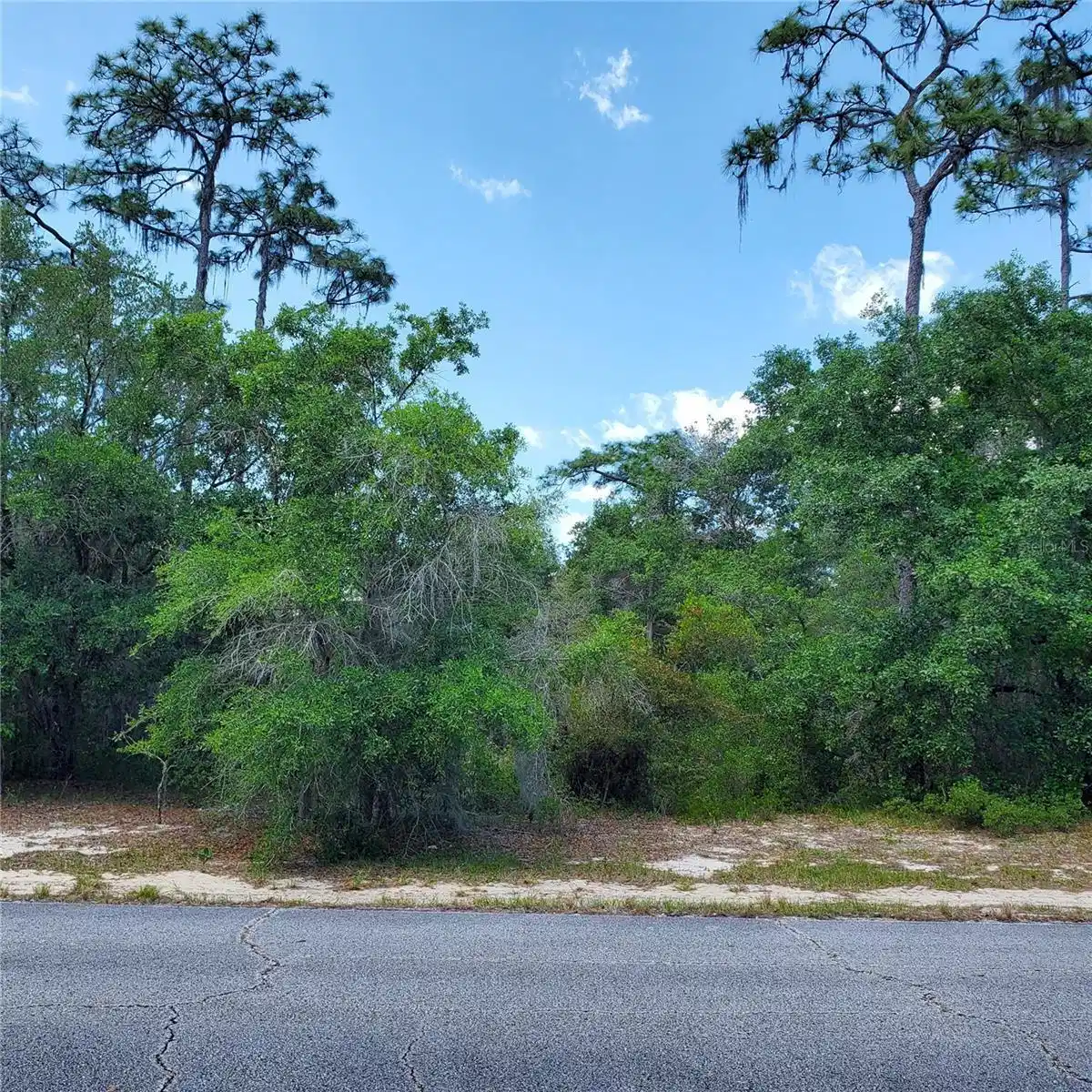 Image 1 Image 1