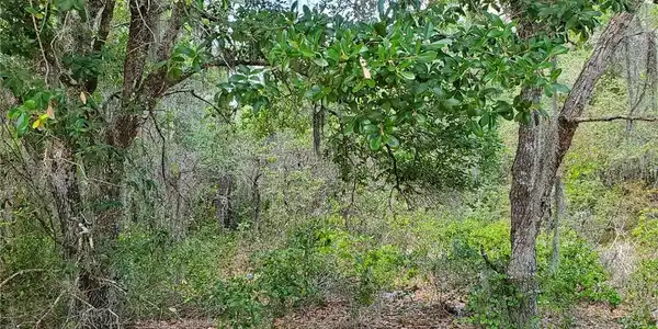 Image 2 Image 2