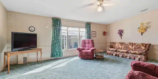 Image 4 Image 4