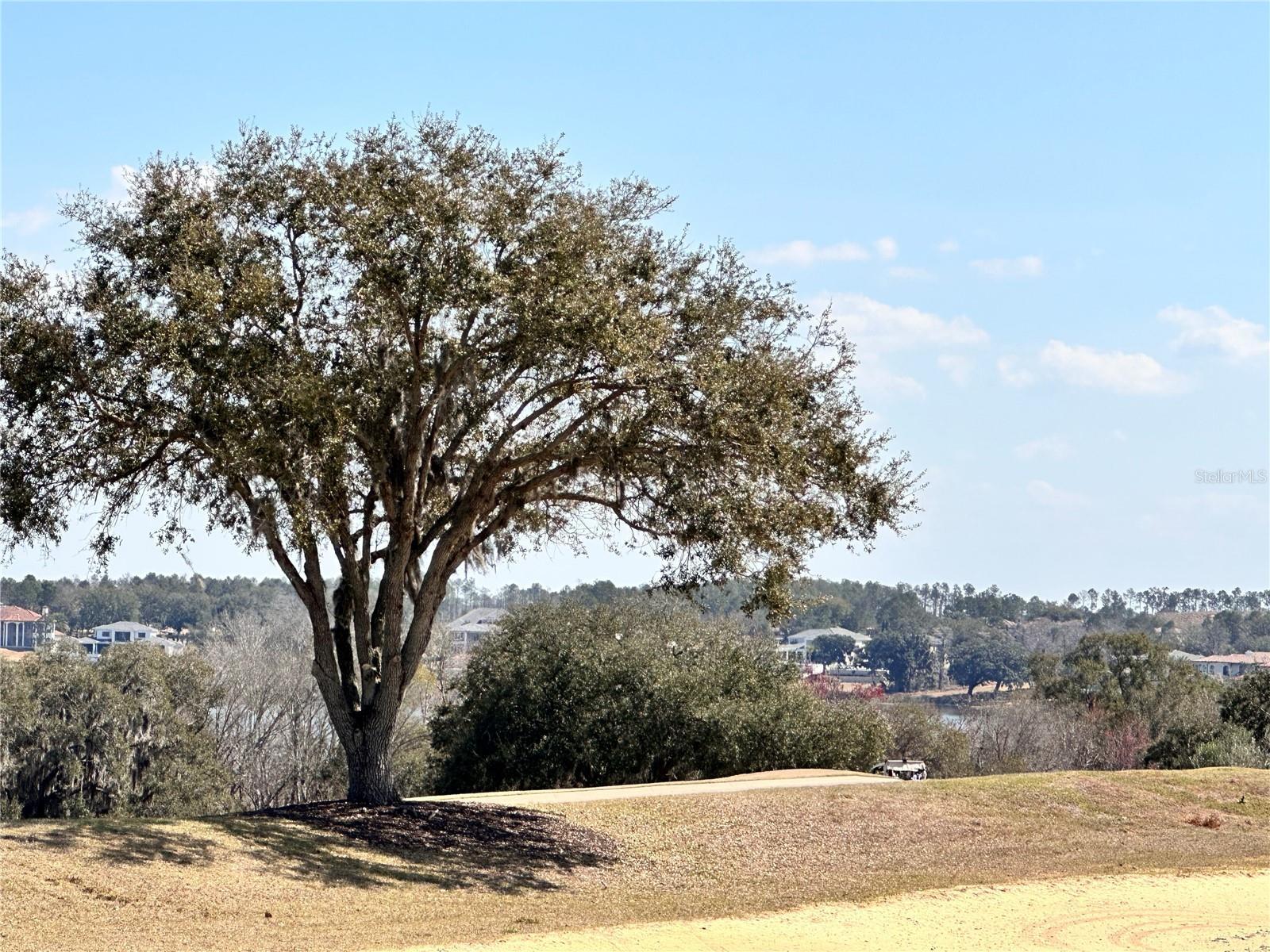Image 3 Image 3
