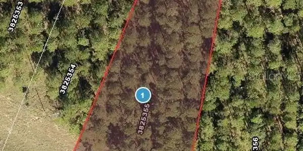 Image 4 Image 4