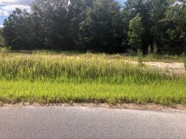 Lot 1 LOCUST