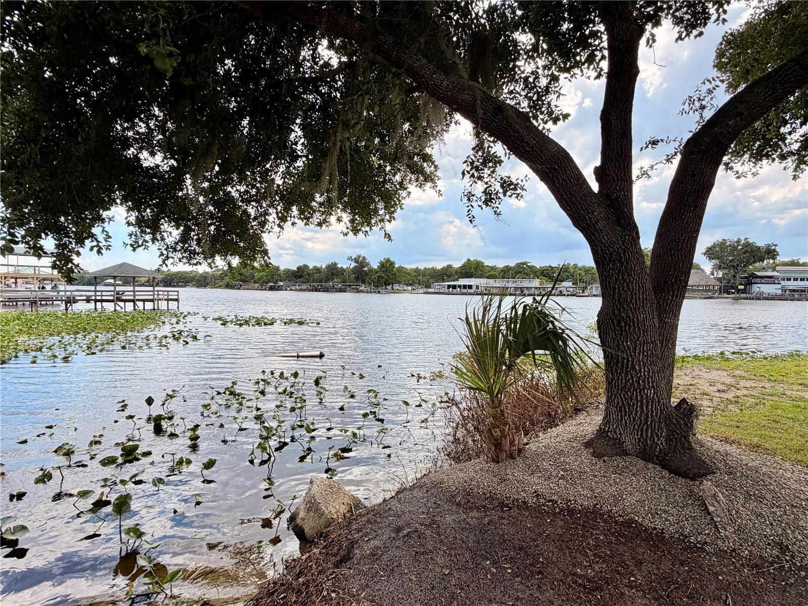 Image 4 Image 4