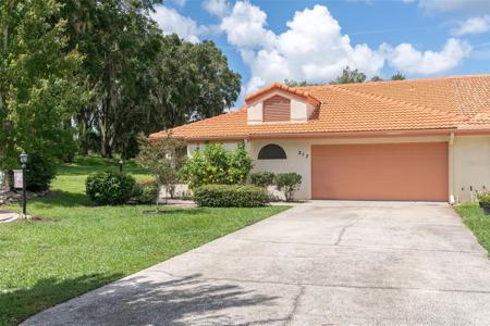 217 BUENA VISTA COURT