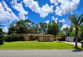 14424 CONIFER