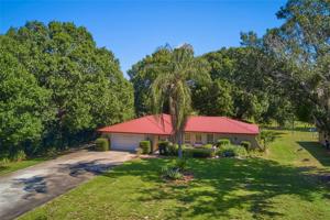 2080 ALLAMANDA