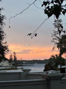 13709 JUNIPER BLOSSOM DRIVE