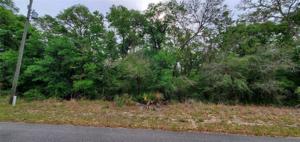 LOT 8  LOCUST TERRACE PL