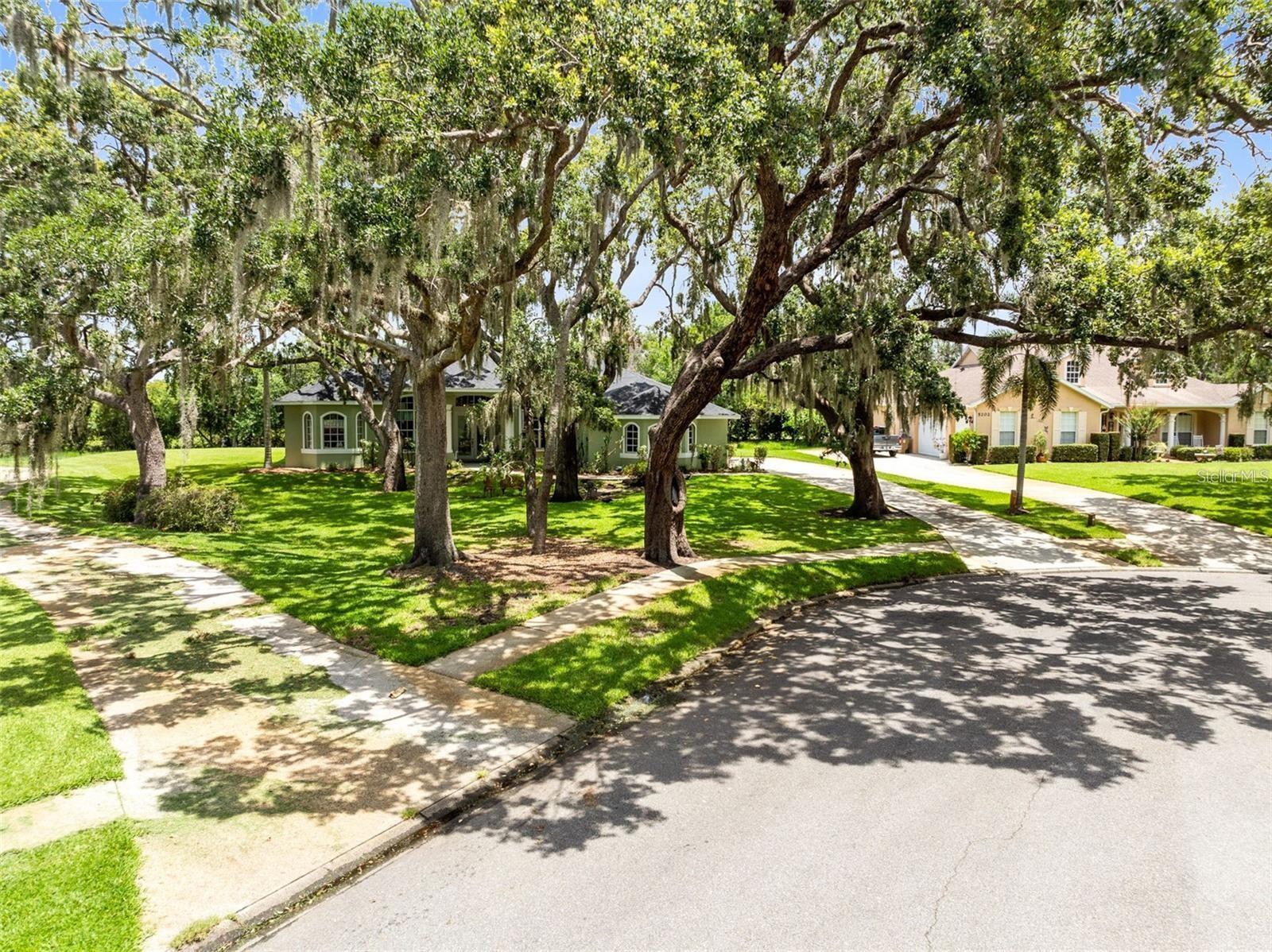 Image 4 Image 4