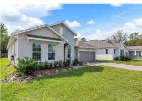 1709 JUNIPER HAMMOCK