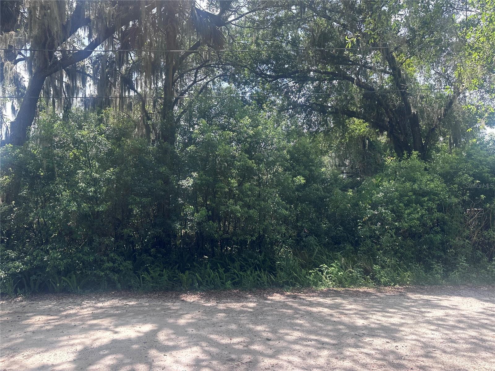 Image 3 Image 3