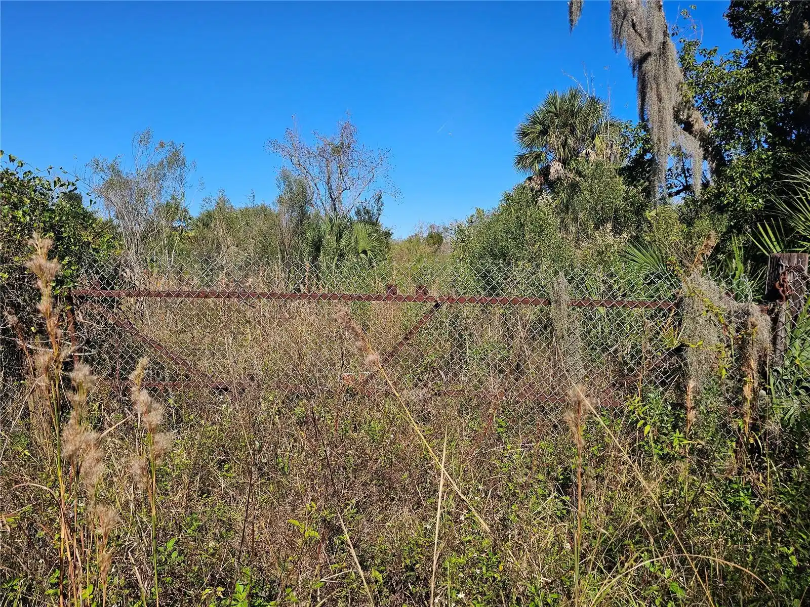 Image 1 Image 1