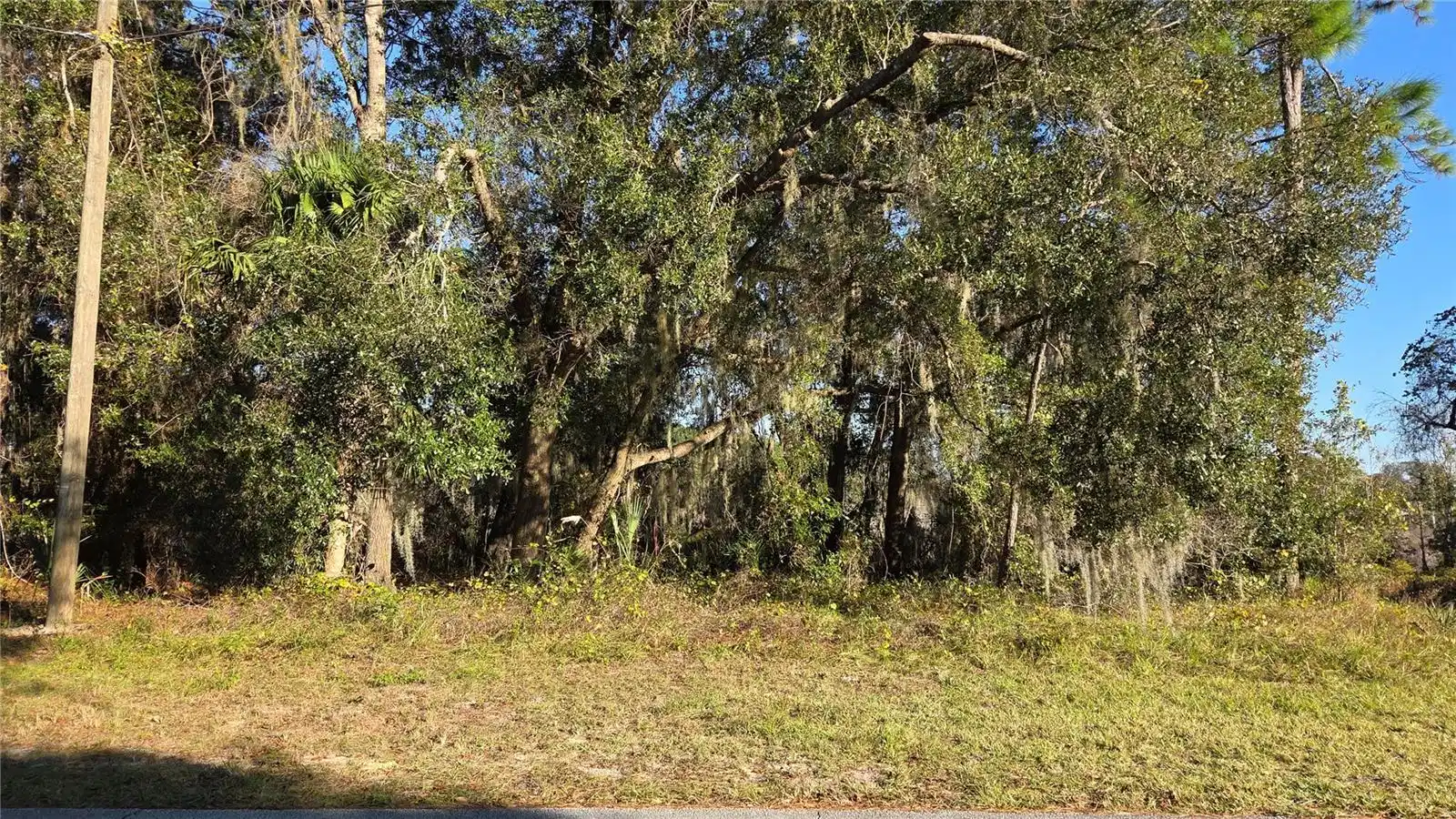 Image 1 Image 1