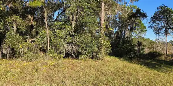 Image 3 Image 3