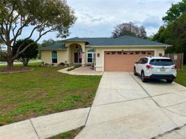 12702 BLUE PINE