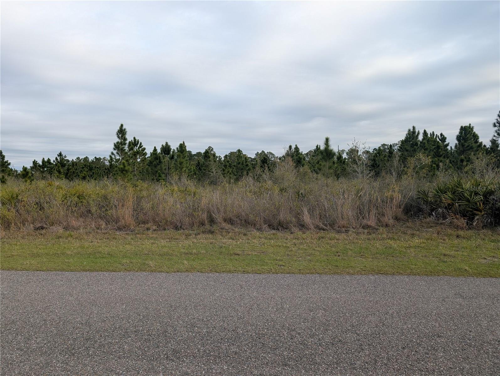 Image 1 Image 1