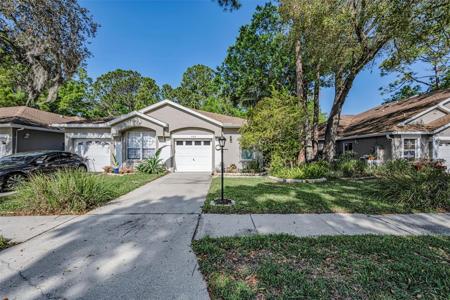 3164 BROOKER CREEK WAY