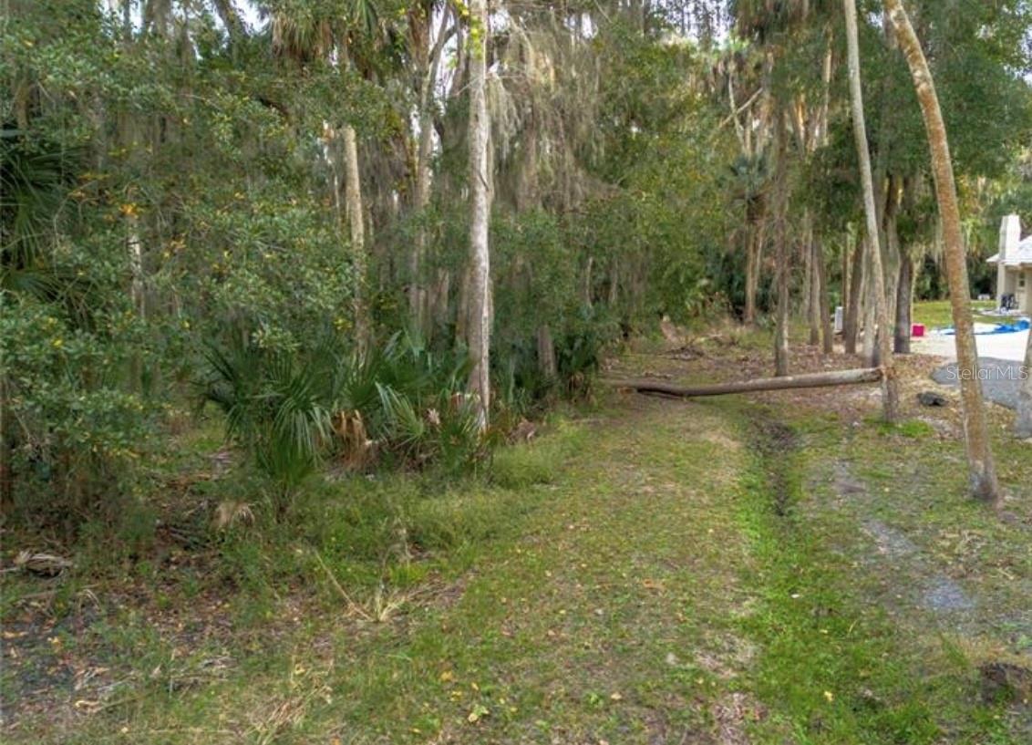Image 1 Image 1