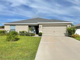 233 CATTAIL