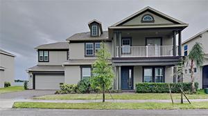371 BLUE CYPRESS