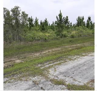 CALLIANDRA DRIVE