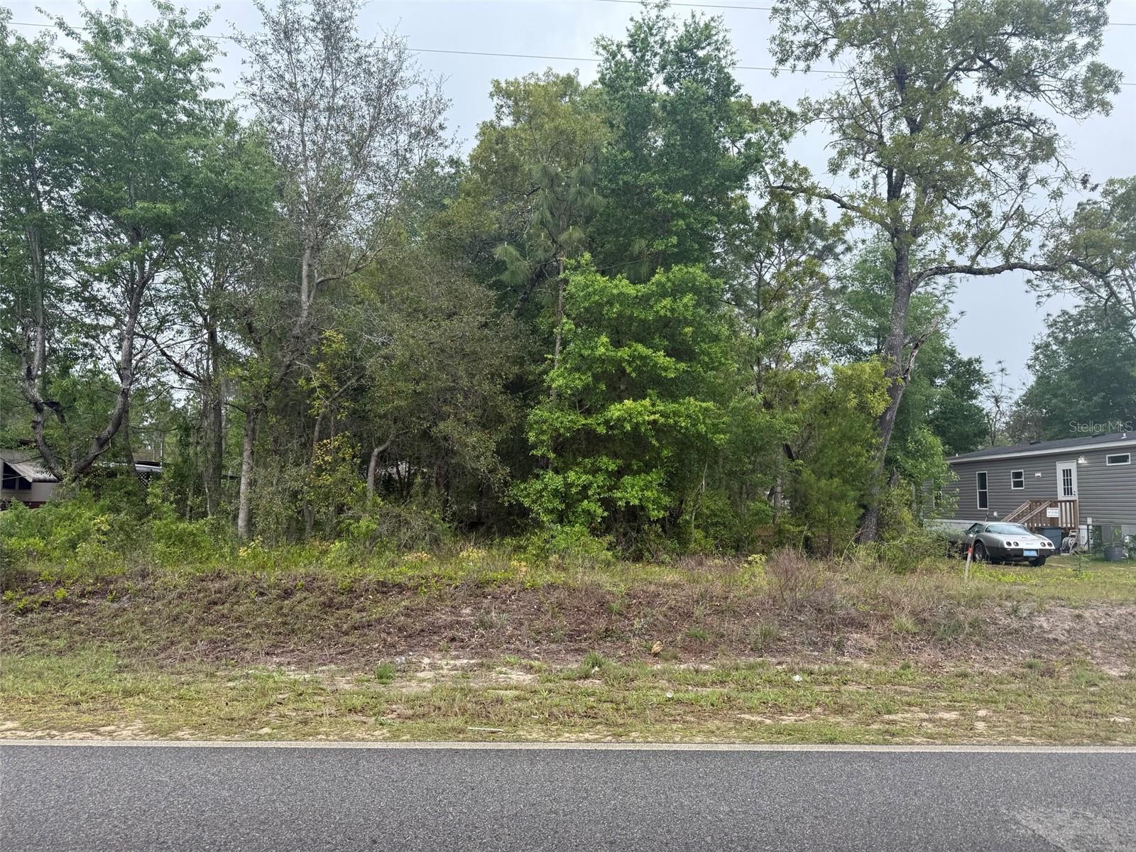 Image 1 Image 1