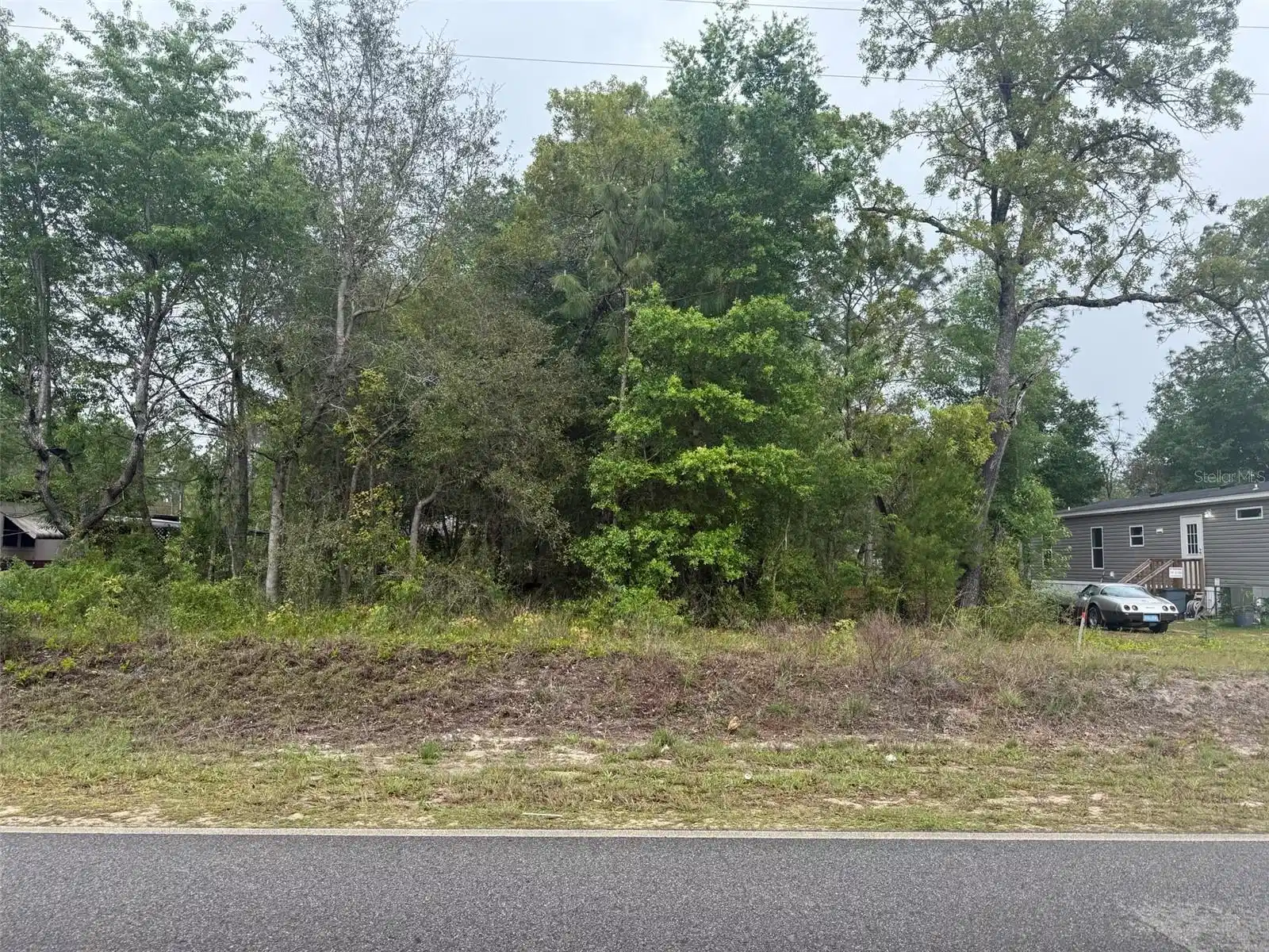 Image 1 Image 1