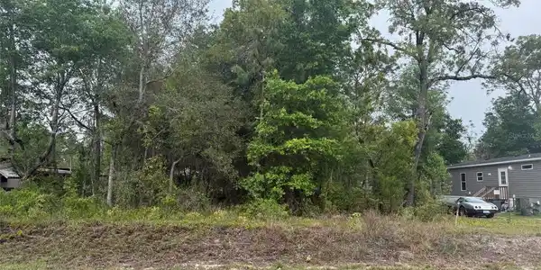 Image 3 Image 3