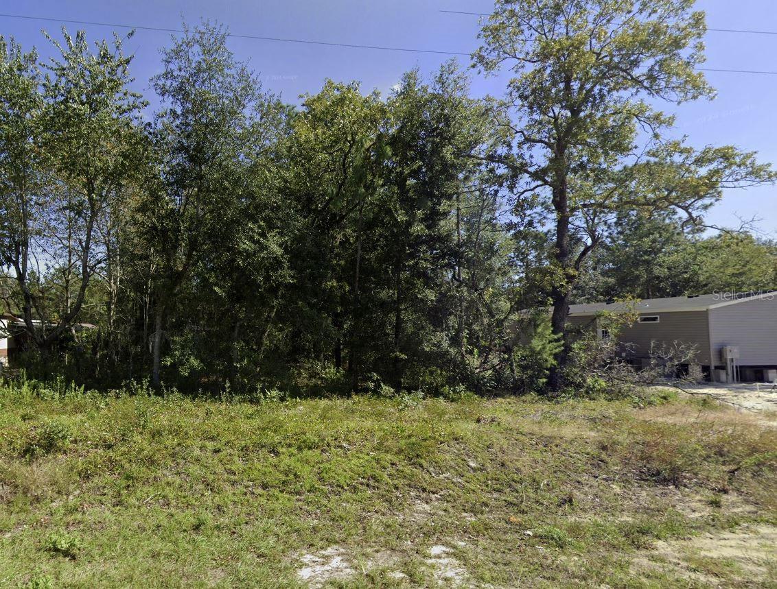 Image 4 Image 4