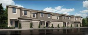 4549 TEOLI