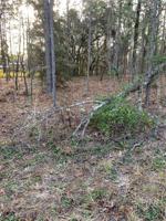 LOT 6 OAK LANE