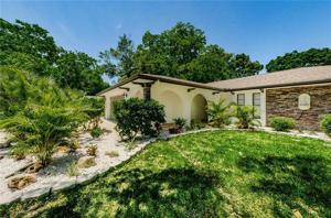 7509 CYPRESS KNEE