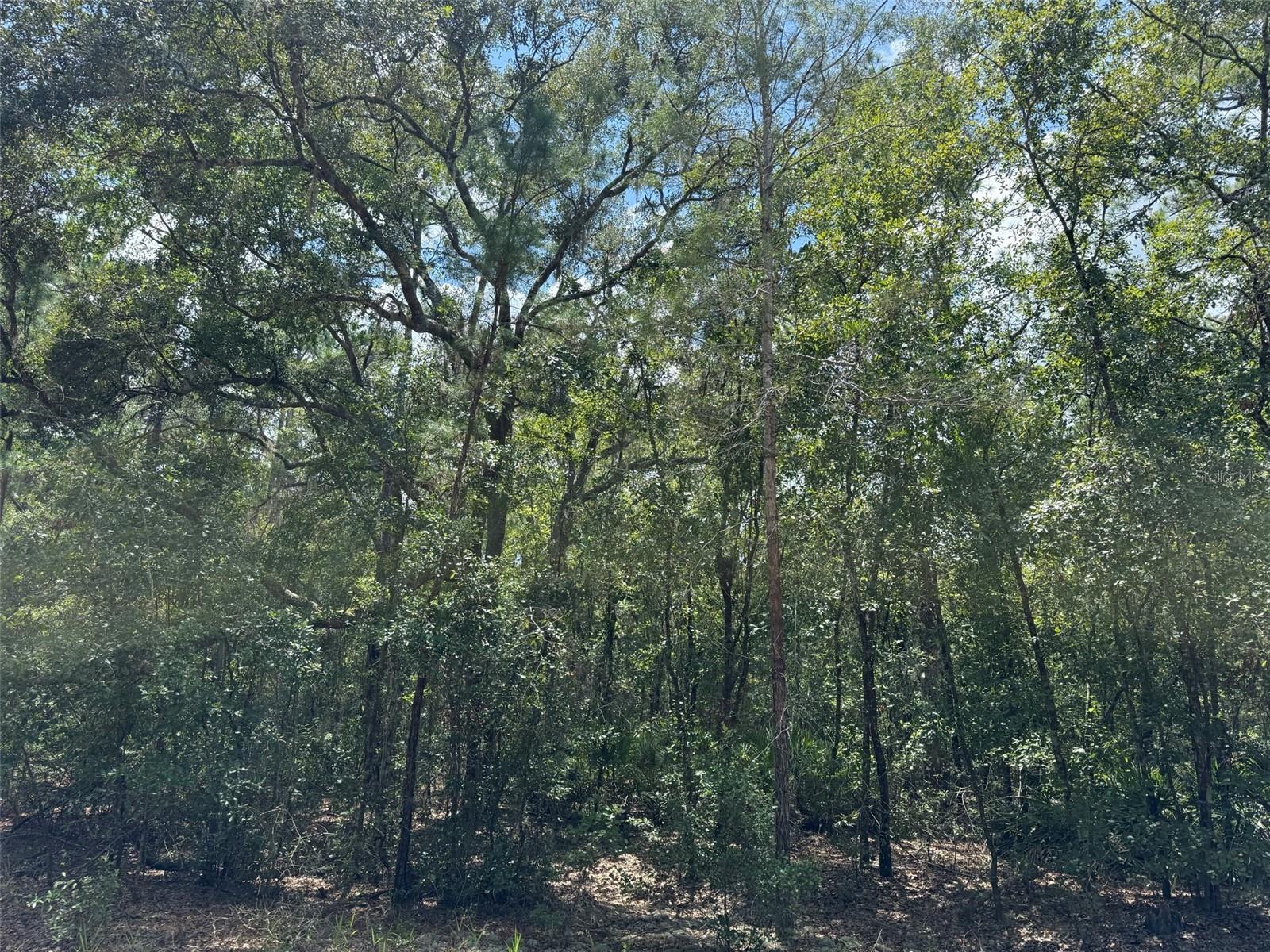 Image 2 Image 2