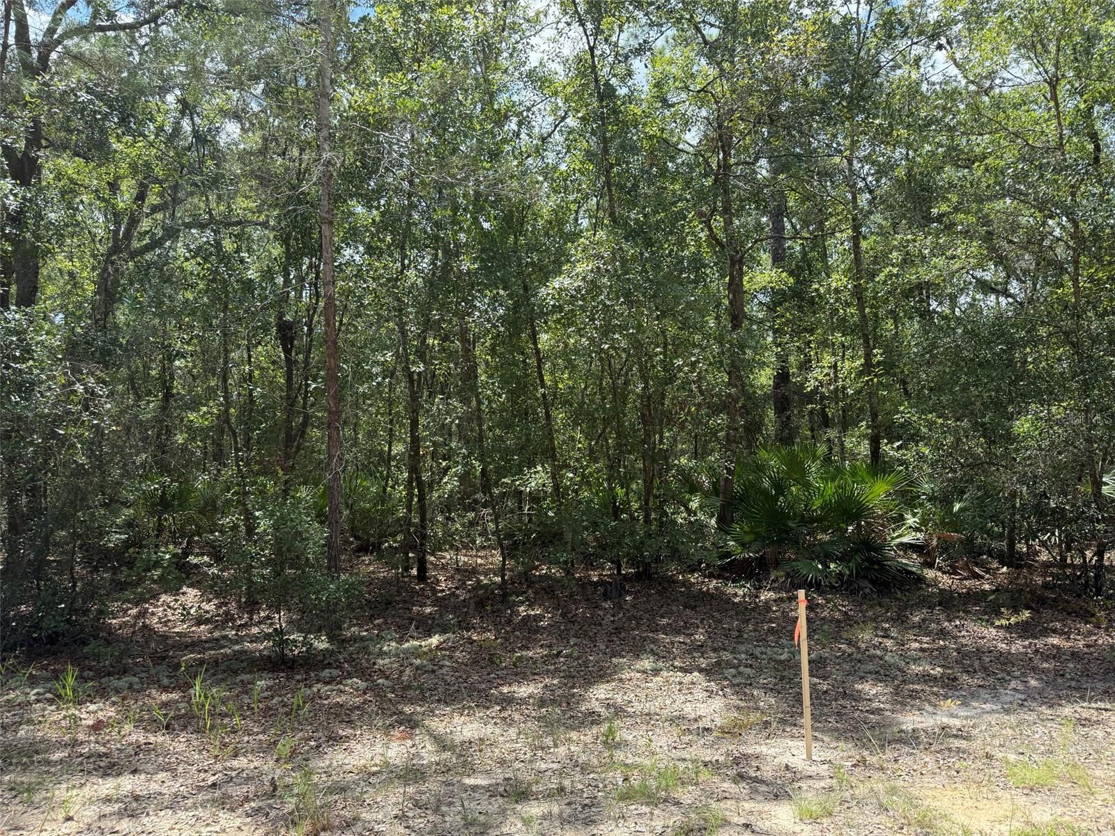 Image 3 Image 3