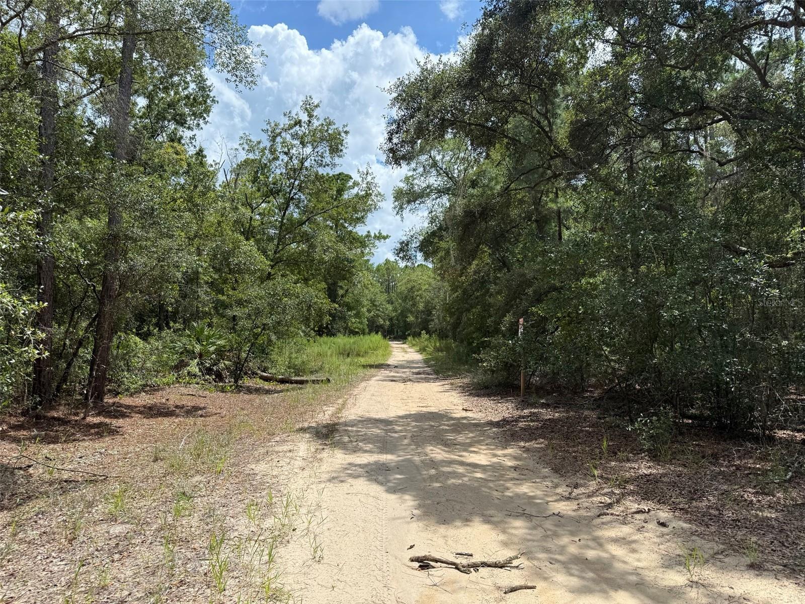 Image 4 Image 4