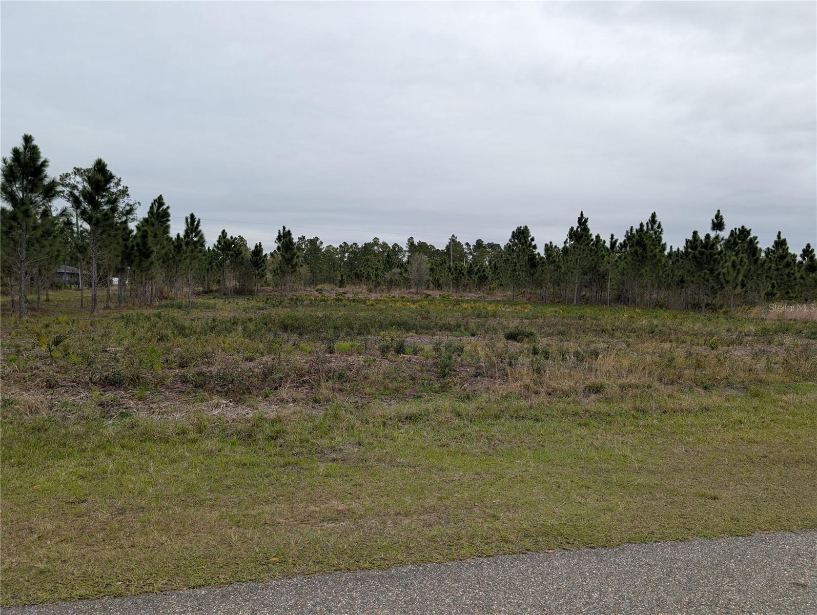 Image 1 Image 1