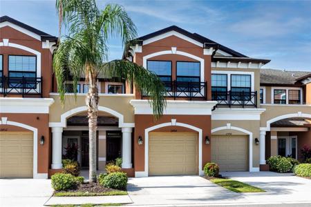 11454 CROWNED SPARROW LANE
