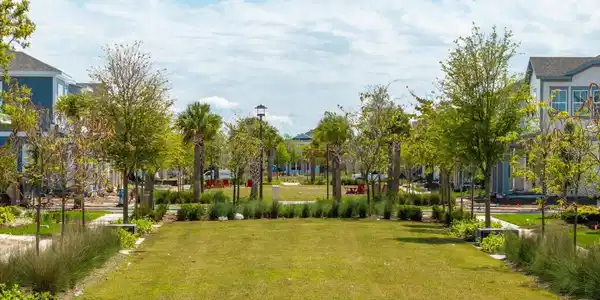 Image 4 Image 4