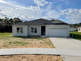 34907 GOLDEN TREE