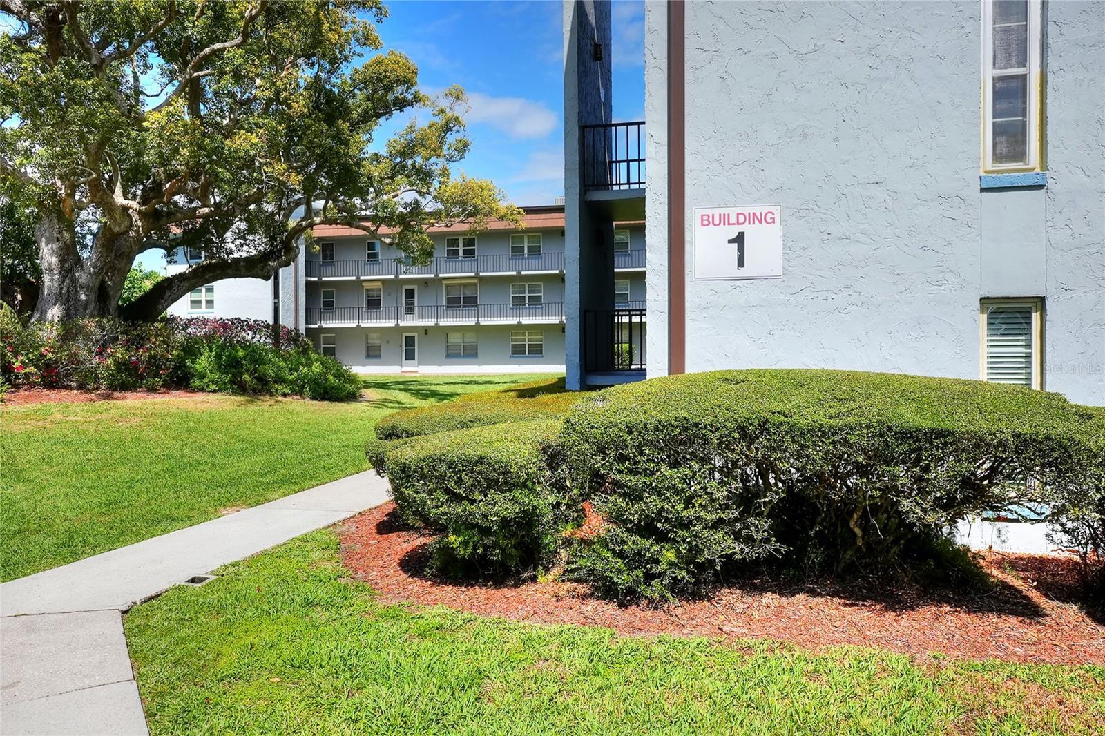 Image 4 Image 4