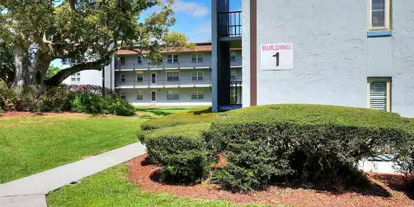 Image 4 Image 4